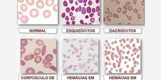 Imagem do grupo de WhatsApp Biomedicina resumos