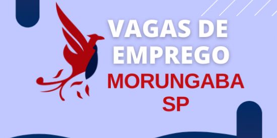 Imagem do grupo de WhatsApp EMPREGOS MORUNGABA SP