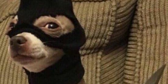 Imagem do grupo de WhatsApp αɱเƶα∂ε ѵเ૨тµαℓ 💬