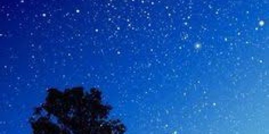 Imagem do grupo de WhatsApp DIVULGAÇÃO INSTAGRAM