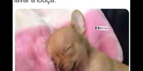 Imagem do grupo de WhatsApp Visualização nos status