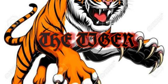 Imagem do grupo de WhatsApp THE TIGER
