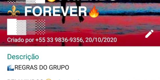 Imagem do grupo de WhatsApp Friends⚜️Forever