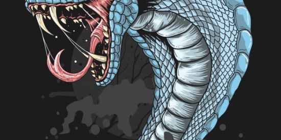 Imagem do grupo de WhatsApp RECRUTAMENTO SRP