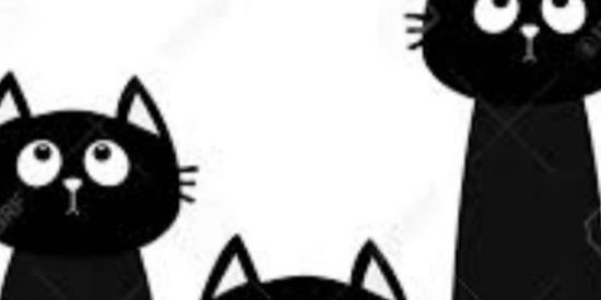 Imagem do grupo de WhatsApp Amizades verdadeiras ❤️