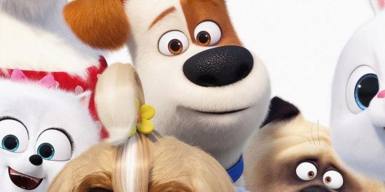 Imagem do grupo de WhatsApp Trocas de figurinhas