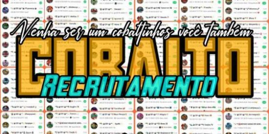 Imagem do grupo de WhatsApp 🦊Recrutamento cb's🦊