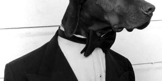 Imagem do grupo de WhatsApp F I G U R I N H A S