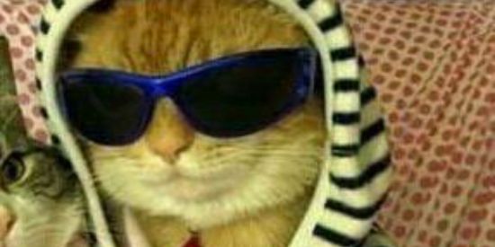 Imagem do grupo de WhatsApp DDD-85...on