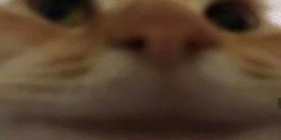 Imagem do grupo de WhatsApp Interagir 🍓🍥