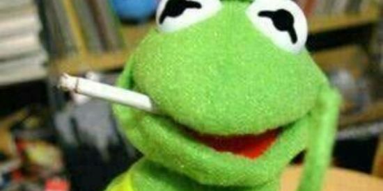 Imagem do grupo de WhatsApp Chat aleatório 🐸