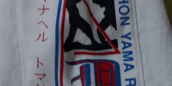 Imagem do grupo de WhatsApp Mestres de Artes Marciais