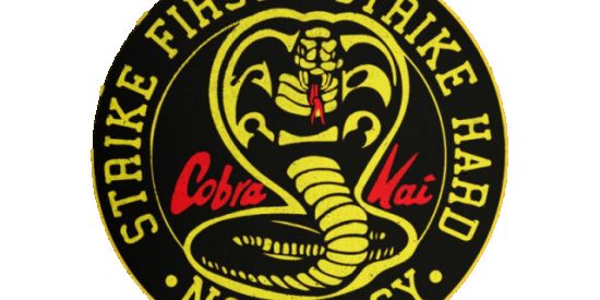 Imagem do grupo de WhatsApp FAC COBRA KAI
