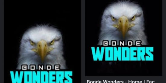 Imagem do grupo de WhatsApp RECRUTAMENTO WĐS