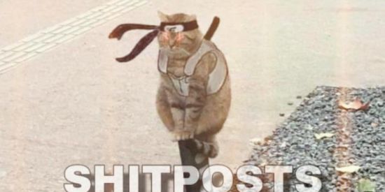 Imagem do grupo de WhatsApp Shitpost dk