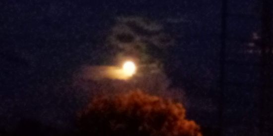 Imagem do grupo de WhatsApp Rifas