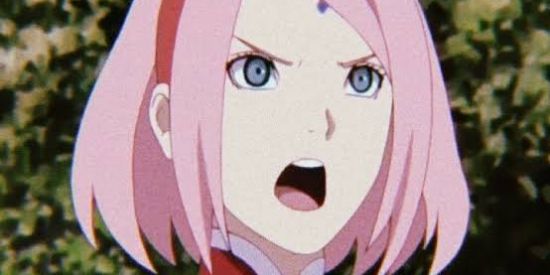 Imagem do grupo de WhatsApp 🐾✦*:.｡.Kᴄʜᴏʀʀᴀᴅᴀ.｡.:*✦🐾