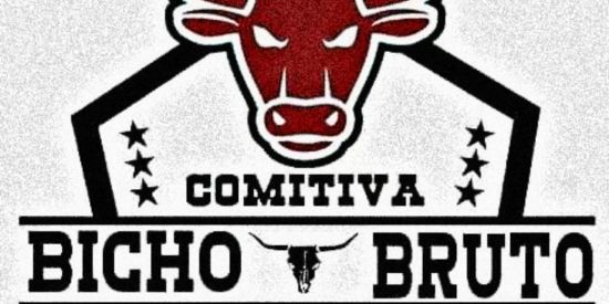 Imagem do grupo de WhatsApp 🌱♥️"𝐂𝐎𝐌𝐈𝐓𝐈𝐕𝐀 𝐁𝐈𝐂𝐇𝐎 𝐁𝐑𝐔𝐓𝐎"♥️🌱