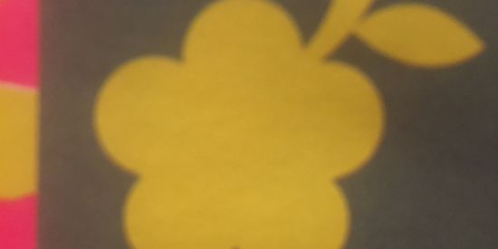 Imagem do grupo de WhatsApp Novidades Fábula