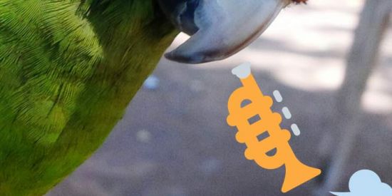 Imagem do grupo de WhatsApp ツ꧁𝐹𝑂𝐺𝑆 𝑊𝐴𝑅𝑇꧂࿄