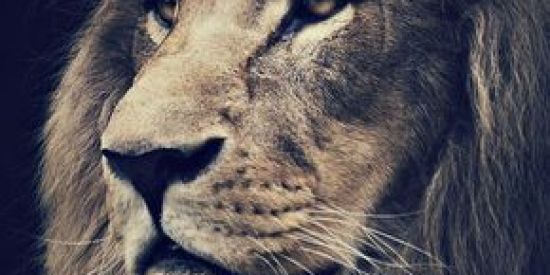 Imagem do grupo de WhatsApp Deus existe