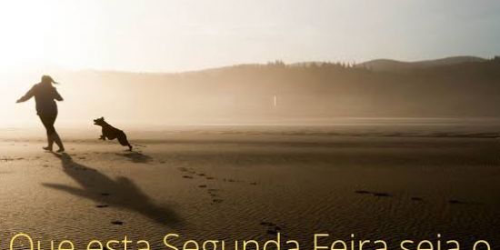 Imagem do grupo de WhatsApp Grupox