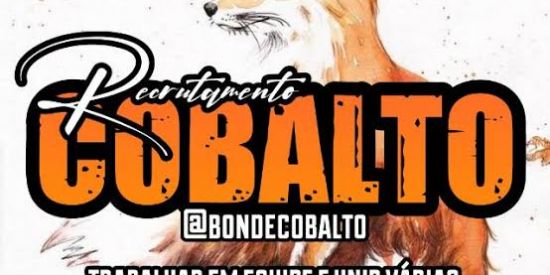 Imagem do grupo de WhatsApp Recrutamento cobalto