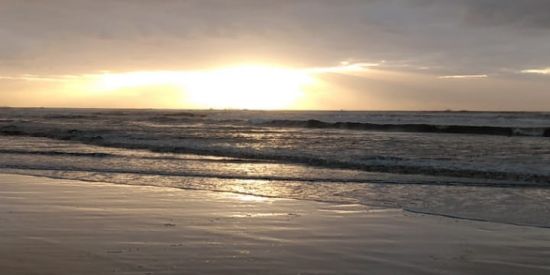 Imagem do grupo de WhatsApp Marisqueiros do litoral