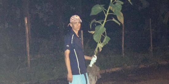 Imagem do grupo de WhatsApp Vagando pela Net 🔥