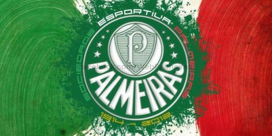 Imagem do grupo de WhatsApp Palmeiras minha VD💚