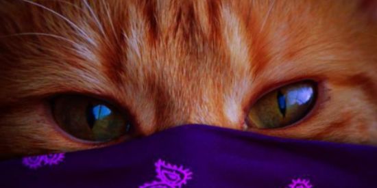 Imagem do grupo de WhatsApp ✓madurin-shit™®