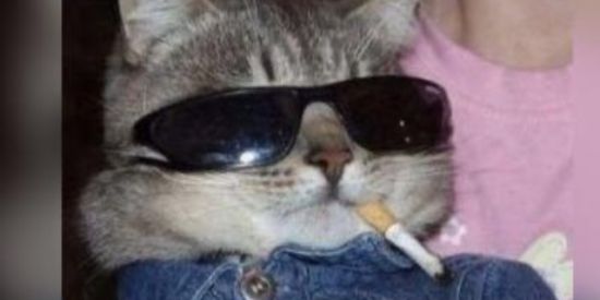 Imagem do grupo de WhatsApp RESENHA doida