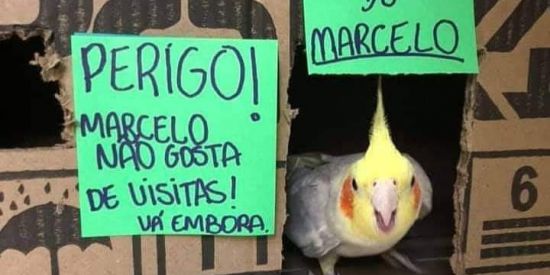 Imagem do grupo de WhatsApp 💏Namoro e amizade 😈