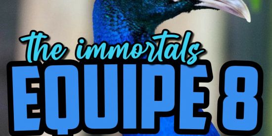 Imagem do grupo de WhatsApp Triagem ti's