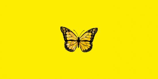 Imagem do grupo de WhatsApp Ganhar seguidores curtidas é comentários