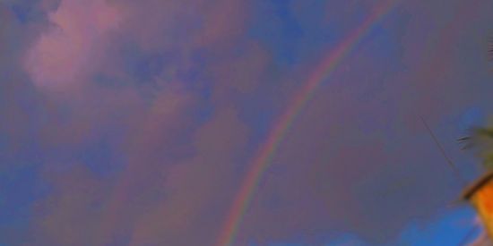 Imagem do grupo de WhatsApp ✨novas amizades ✨