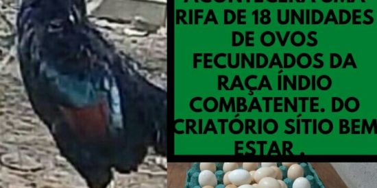 Imagem do grupo de WhatsApp Criatório Sitio Bem Estar