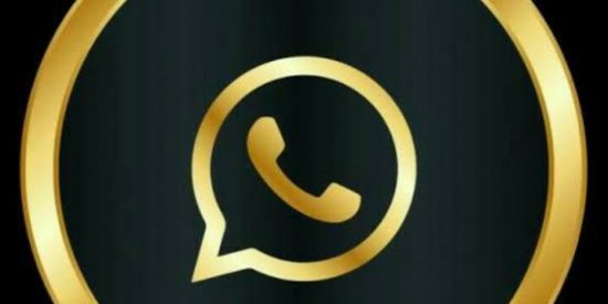 Imagem do grupo de WhatsApp SHIT DO KIRA 🐊