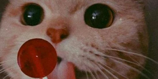 Imagem do grupo de WhatsApp Friend'S Aesthetic'S 📍✨