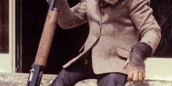 Imagem do grupo de WhatsApp Grupo do chapeuzinho