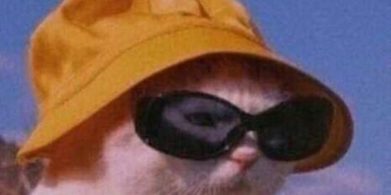 Imagem do grupo de WhatsApp Editores