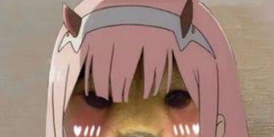 Imagem do grupo de WhatsApp 🔥🅵🅸🅶🆄🆁🅸🅽🅷🅰🆂  B⃢R⃢🔴