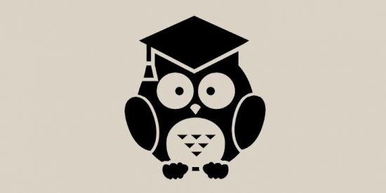 Imagem do grupo de WhatsApp Duolingo