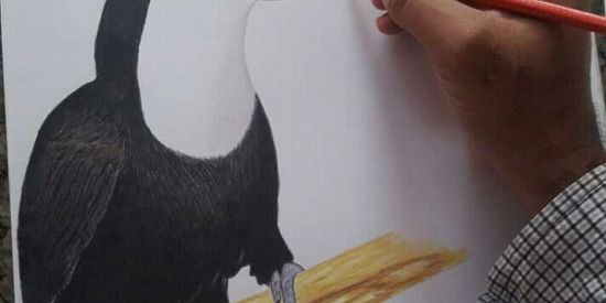 Imagem do grupo de WhatsApp Academia de artistas