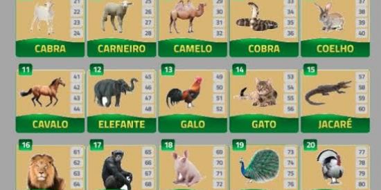 Imagem do grupo de WhatsApp JS prêmios