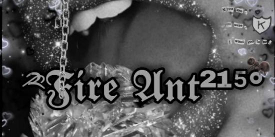 Imagem do grupo de WhatsApp ⿻⃕։🌸ꦽꦼ̷𝐅𝐈𝐑𝐄 𝐀𝐍𝐓◉ꦿ²¹⁵°