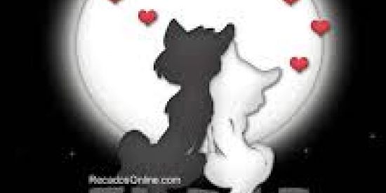 Imagem do grupo de WhatsApp Quer namorar comigo?