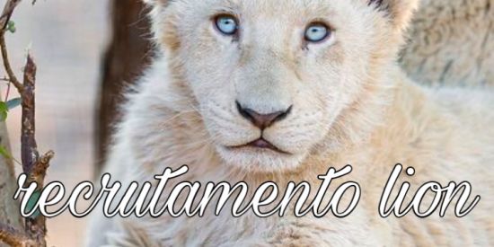 Imagem do grupo de WhatsApp recrutamento lion