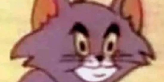 Imagem do grupo de WhatsApp Figurinhas fight