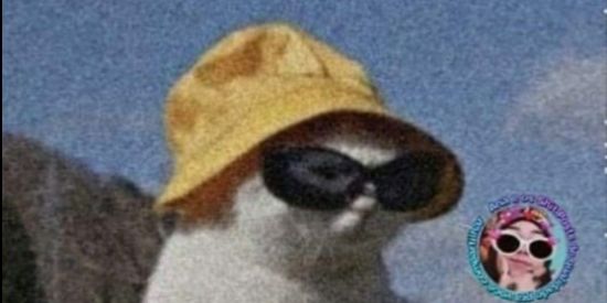 Imagem do grupo de WhatsApp ♠️Castle♦️